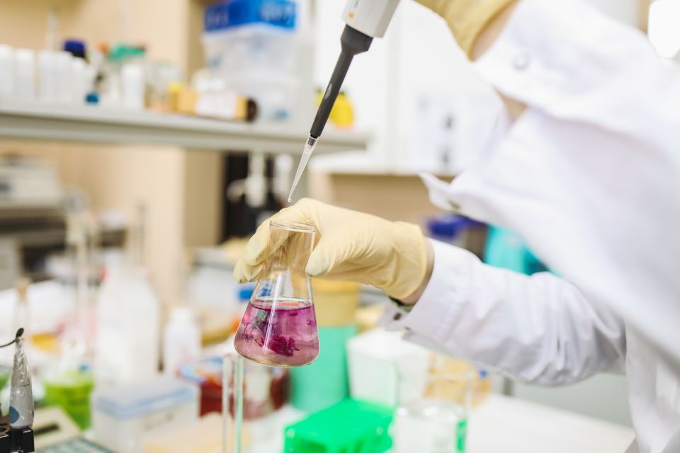 Gloved laboratory scientist testing a sample with a pipette